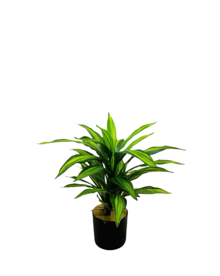 Artificial Dracaena Tree (55cm)