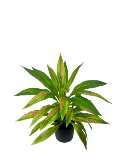 Artificial Dracaena Tree (55cm)