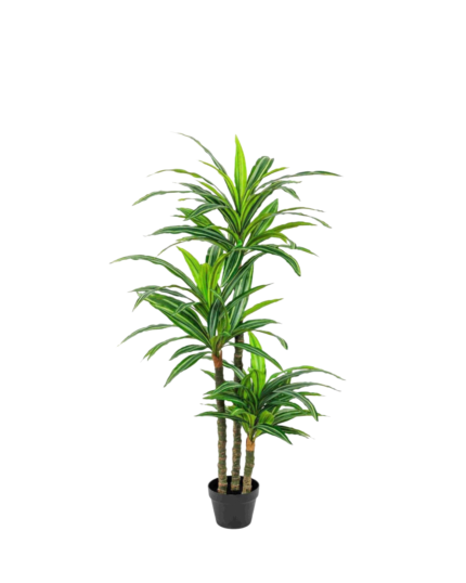 Artificial Dracaena Tree (145cm)