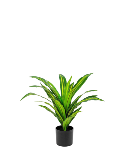 Artificial Dracaena Tree (75cm)