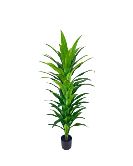 Artificial Dracaena Tree (180cm)