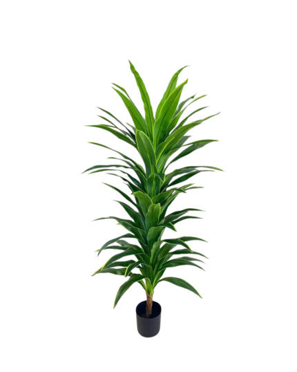 Artificial Dracaena Tree (180cm)