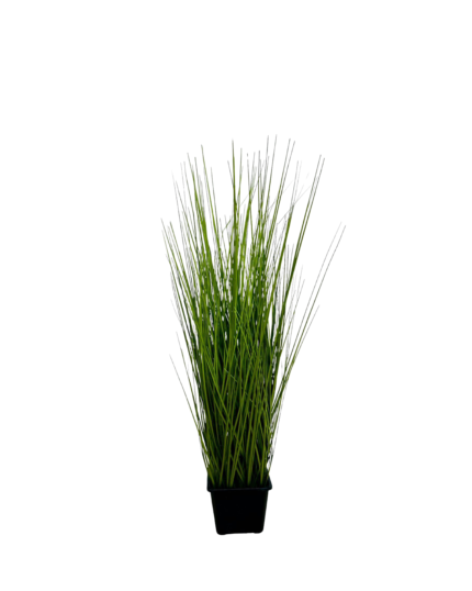 Artificial Pampas Grass Plant (70cm)