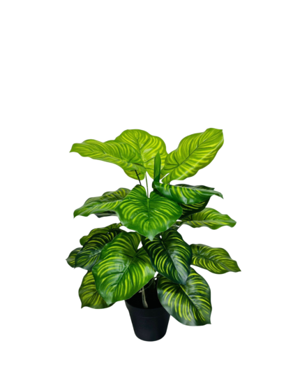 Artificial Philodendron Gloriosum (50cm)