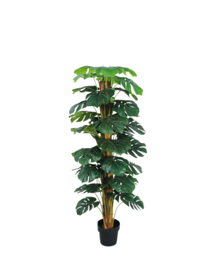 Artificial Monstera Deliciosa Tree (160cm)