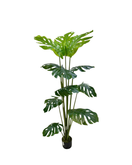 Artificial Monstera Deliciosa Tree (160cm)