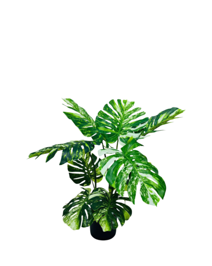 Artificial Monstera Deliciosa Tree (75cm)