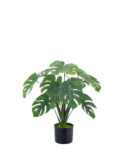 Artificial Monstera Deliciosa Tree (80cm)