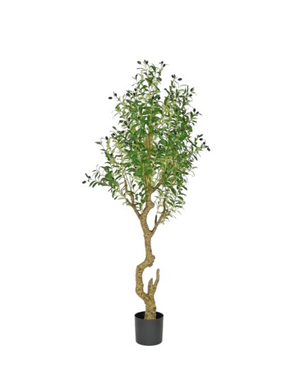 Artificial Olive Tree (180cm)