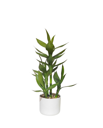 Artificial Lucky Bamboo Plant (50cm)