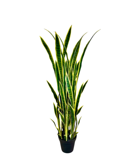 Artificial Snake Plant (150cm)