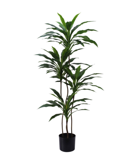 Artificial Dracaena Tree (120cm)
