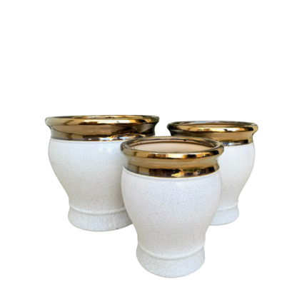 Premium Gold Crown Ceramic Planter Set
